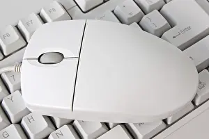 Computer Hardware Stampe: Keyboard and the mouse for a computer