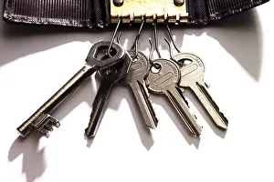 Live Studio Shot Stampe: Several keys