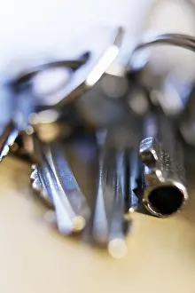 Studio Shot Of Keys Stampe: Keys on a key ring