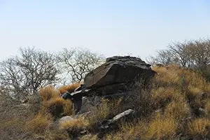 Arid Landscape Photography Stampe: Khomas Region, Namibia