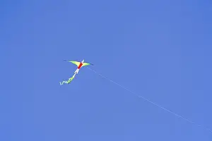 Autumn Landscape Stampe: A kite