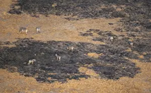 Unpopulated Areas Stampe: Klei