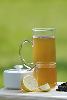 Healthy Beverage Stampe: Kombucha