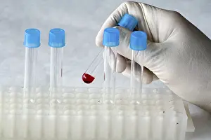 No People In Lab Stampe: Laboratory