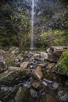Tropical Rainforest Photography Stampe: Lagoa do Vento with Upper Risco Waterfall