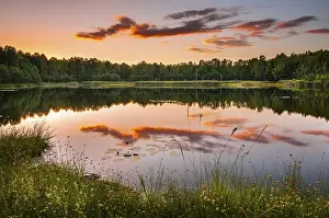 Serene German Landscape Stampe: Lake with reflection in evening light