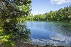 Reflective Lake Surface Stampe: Lake with reflection of the landscape