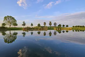 Germany Historic Landmark Stampe: Lake in spring with row of trees and reflection