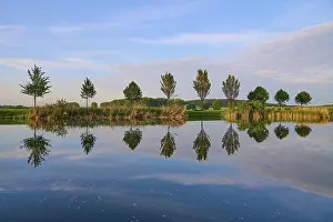 Germany Historic Landmark Stampe: Lake in spring with row of trees and reflection
