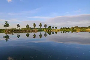 Thuringia Landscape Photography Stampe: Lake in spring with row of trees and reflection