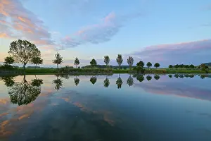 Thuringia Germany Landscape Photography Stampe: Lake in spring with row of trees and reflection at sunset