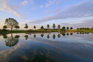 Evening Light Landscape Photo Stampe: Lake in spring with row of trees and reflection at sunset