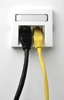 Internet Connection Stampe: LAN cable, network cable in a socket