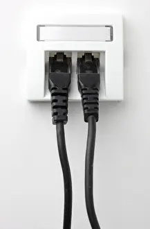 Computer Network Connection Stampe: LAN cable, network cable in a socket