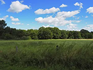 Immagini datate 24 agosto 2024: Paesaggio con foresta e campi.