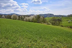 Low Mountain Range Europe Stampe: Landscape, low mountain range, spring