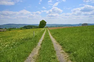 Cloudy Mountain Range Stampe: Landscape, meadow path, clouds