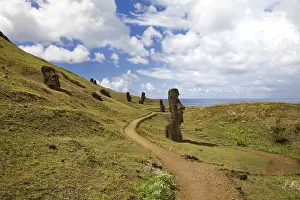 Easter Island Landscape Stampe: Landscape with path statues at Easter island