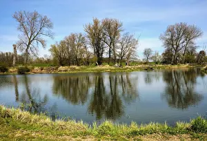 Landscape Photography Germany Stampe: Landscape on the river Oder in spring