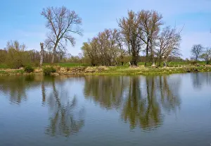 East Germany Scenery Stampe: Landscape on the river Oder in spring