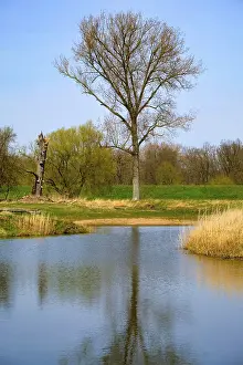 Landscape Photography Germany Stampe: Landscape on the river Oder in spring