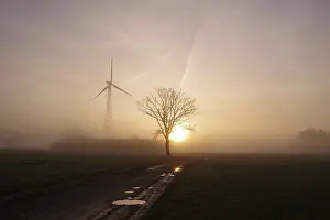 Morning Atmosphere Germany Stampe: Landscape, tree, wind generator