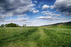 Uninhabited Countryside Scenes Stampe: Landscape with trees in spring