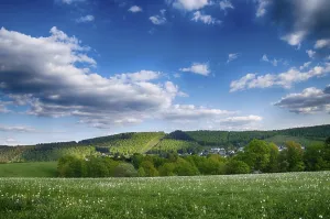 Deserted Countryside Scenery Stampe: Landscape with trees in spring