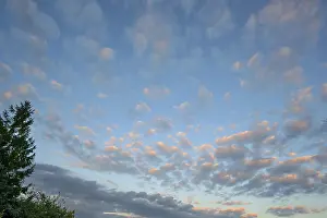Cirrocumulus Clouds Stampe: Large fleecy clouds (Altocumulus)