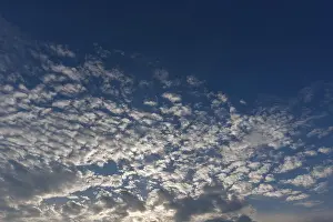 Full Frame Cloudy Sky Stampe: Large fleecy clouds (Altocumulus)