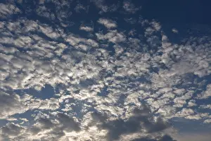 Cloudy Sky Germany Stampe: Large fleecy clouds (Altocumulus)