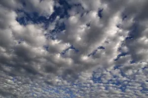 Cloud Formation In Europe Stampe: Large fluffy clouds (Altocumulus)