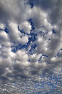 Bavaria Clouds Stampe: Large fluffy clouds (Altocumulus)