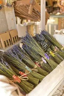 Fragrant Plant Stampe: Lavender bundle