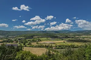 Lavender Fields In Provence Stampe: Lavender fields, meadows and cornfields