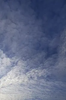 Cloud Formation Stampe: Layer of piled clouds, stratocumulus clouds