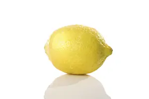 Balanced Diet Foods List Stampe: Lemon