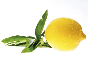Live Healthy Balanced Diet Stampe: Lemon