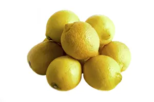 Yellow Citrus Fruit Stampe: Lemons