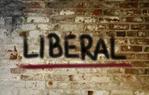 Symbolic Election Image Stampe: Liberal Concept