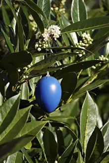 European Easter Traditions Stampe: Still life with Easter egg, Germany
