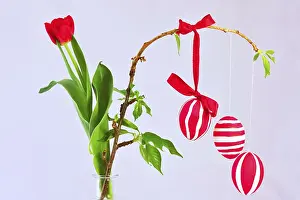 Colourful Still Life Stampe: Still life with Easter eggs, Germany