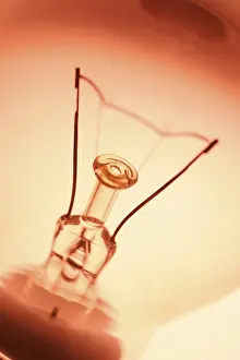 Close Up Light Bulb Stampe: Light Bulb