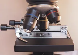 Detailed Macro Photography Stampe: Light microscope detail