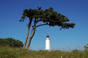 Baltic Sea Shoreline Stampe: Lighthouse
