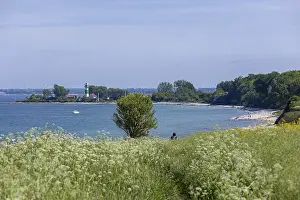 Beachfront Landscape Photo Stampe: Lighthouse, beach, tree, Bulk