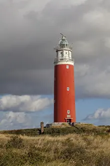 Eierland Lighthouse Stampe: Lighthouse Eierland with dunes