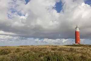 Texel Island Dunes Stampe: Lighthouse Eierland with dunes