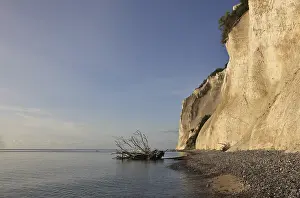 Scandinavian Landscape Photo Stampe: Limestone cliff in Denmark