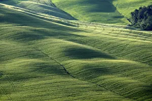 Hilly Countryside Scenery Stampe: Lines and structures